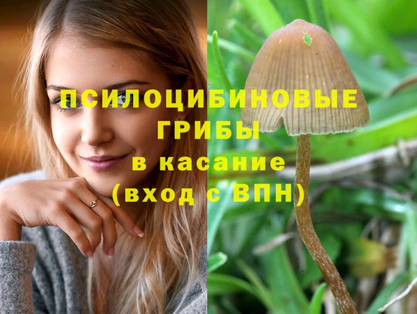 Альфа ПВП Вязники